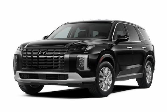 کفپوش چرمی پنج بعدی هیوندای پالیسید palisade هفت نفره